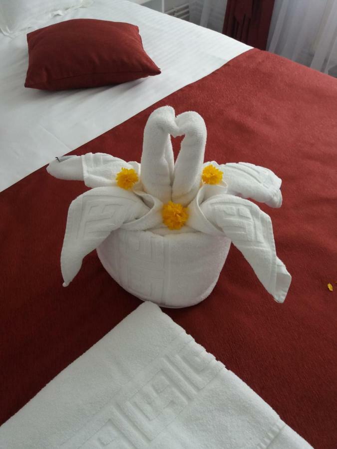 Apartament Mont Blanc Sinaia Eksteriør billede